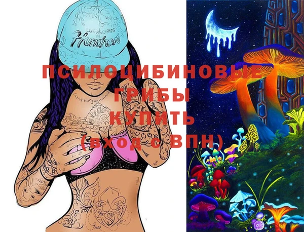 таблы Богородск