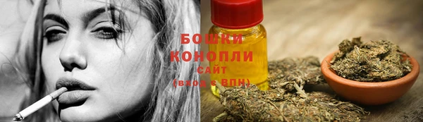 СК Богородицк