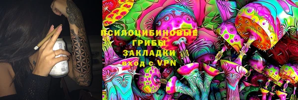 СК Богородицк