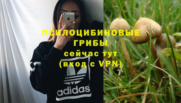 героин Богданович