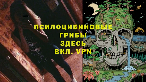 героин Богданович