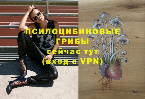 таблы Богородск