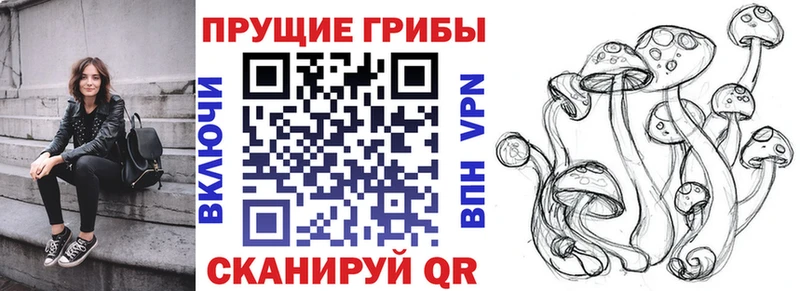 Галлюциногенные грибы Psilocybe  Южно-Сахалинск 